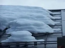 Снігозатримувач трубчастий Технічні характеристики, особливості та рекомендації трубчастий