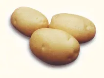сертифицирани
