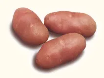 сертифицирани
