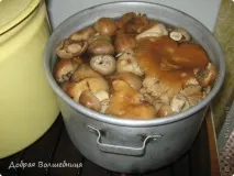 Солонікулачки, Країна Майстрів країна