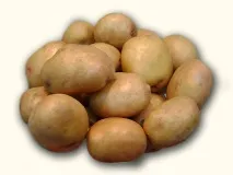 предлагани