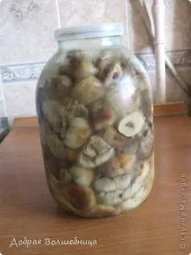 Солонікулачки, Країна Майстрів країна