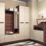 Сучасний дизайн вузької передпокою загальні рекомендації ( 35 фото) дизайн
