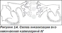 Сучасна ехокардіографічна оцінка правого шлуночка в клінічній практиці, Інтернет-видання оцінка