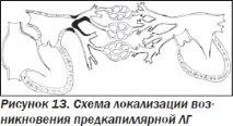 Сучасна ехокардіографічна оцінка правого шлуночка в клінічній практиці, Інтернет-видання сучасна