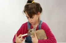 болно дете гъбичките спира
