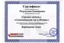 Стрижка кішок, стрижка собак, грумінг грумінг