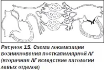 Сучасна ехокардіографічна оцінка правого шлуночка в клінічній практиці, Інтернет-видання шлуночка