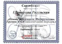 Стрижка кішок, стрижка собак, грумінг стрижка
