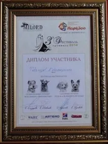 Стрижка кішок, стрижка собак, грумінг стрижка