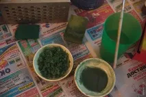 снимка снимка