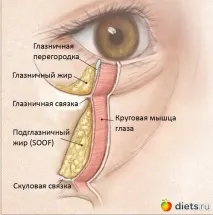 Суфові мішки і як з ними боротися. Щоденники - на щоденники