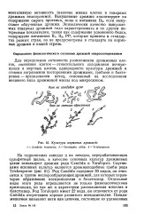Товарні дріжджі - Велика Енциклопедія Нафти та Газа, стаття, 1 товарні