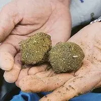 Предпазни мерки безопасност