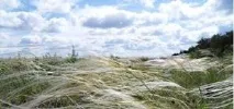 тълкуване явления