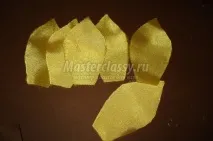 панделки тигрова