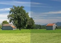 медіа