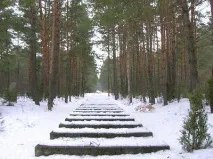 концентрационен Треблинка концентрационен