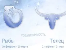 Телець і Риби сумісність у любовних відносинах та побуті відносинах