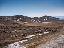 част излиза