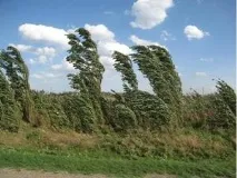 метеорологични сънища