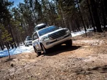 излиза toyota