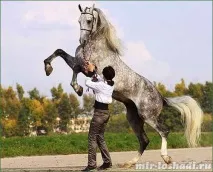 світі