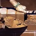 кръстословици последното място