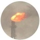 природни