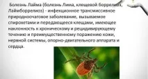 прави симптоми