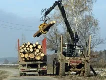 Тяжка доля лісових інвестпроектів Красноярського краю лісових
