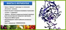 ензими какви