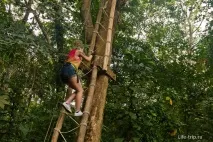 Мотузковий парк на Ко Чанг Tree Adventure