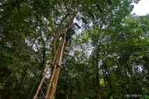Мотузковий парк на Ко Чанг Tree Adventure