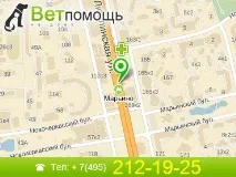 лекар ветеринарен