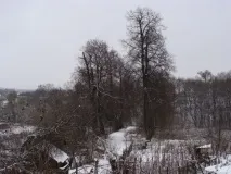 2012