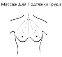 бюста бюста