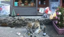 магазин