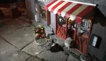 магазин