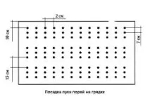 отглеждане отглеждане