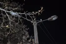 няма светлини