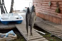 Вниз по Іртишу іртишу