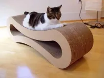 необходимост първа