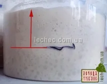 възстановяване квас