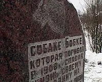 риби риби