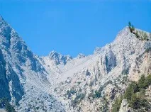 крит хора