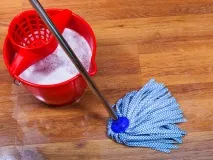 Хлорофос від клопів інструкція із застосування та відгуки від покупців хлорофос