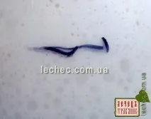 Възстановяване пшеничен възстановяване