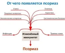 причини причини