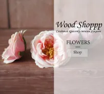 Wood Shoppp Створюй красу своїми руками! створюй
